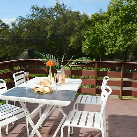 Quiet Mid Century Modern Retreat With Patio And Yard By Lodgewell